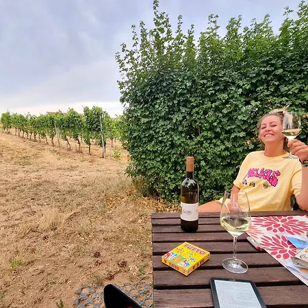 Der Kirschberghof Weinfass-lodge Luxuszelt *